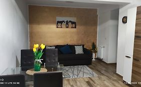 Apartament Lenus'K